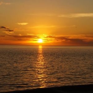 Meet your Posher, Glenn